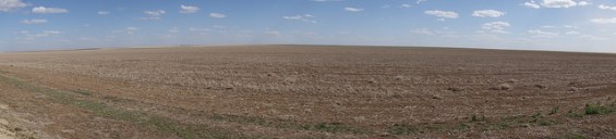 26125690342_0d048986d0_z