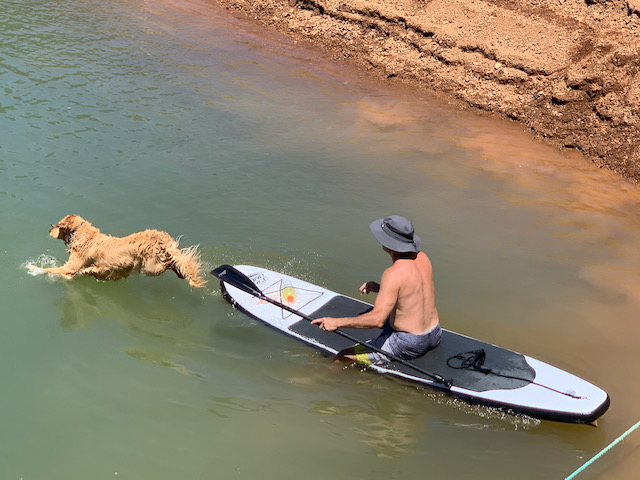 Luna jumping off Mick's paddleboard